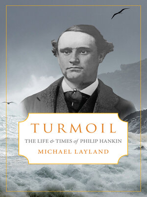 cover image of Turmoil